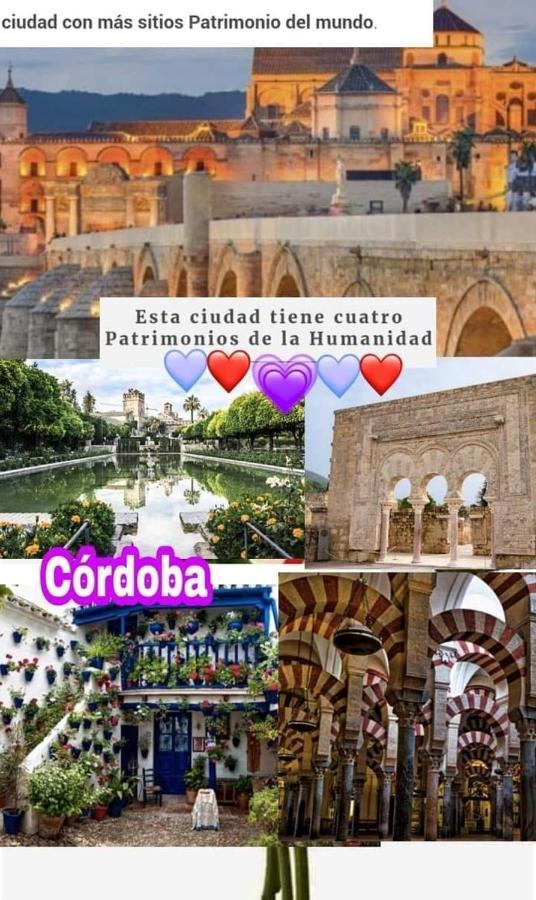 Grupo Limcotel El Paseito De Concha-Mesquita-Parking Kordoba Zewnętrze zdjęcie