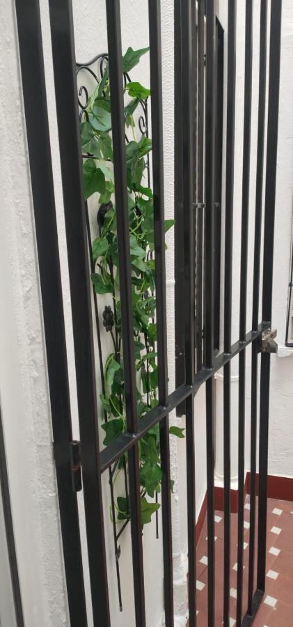 Grupo Limcotel El Paseito De Concha-Mesquita-Parking Kordoba Zewnętrze zdjęcie